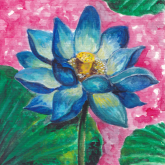 Katsumi Eliane's profile picture