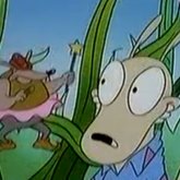 Bence Varga's profile picture