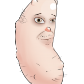 Skin Pickle's profile picture