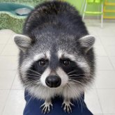 Imdv's profile picture