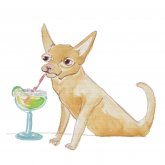 Shannon Ryan's profile picture