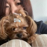 Soo Park's profile picture