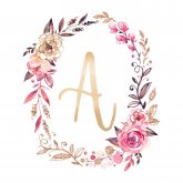 Divija Agarwal's profile picture