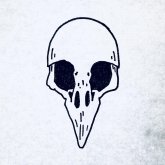 Lee Schob's profile picture