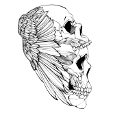 Bastián Calderón's profile picture