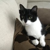 Photo de profil de Lili Veronique