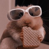 Profilbild von Danny Joel
