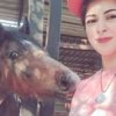 Nour Ahmed's profile picture