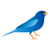 Photo de profil de KD Finch