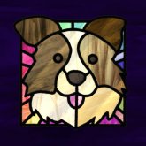 Photo de profil de Saular