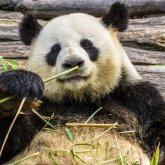 Profilbild von Ola7117