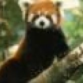 Jo Cosgriff's profile picture