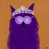 Liz Stalker's profile picture