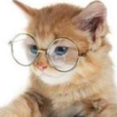 Daisy Chubb's profile picture