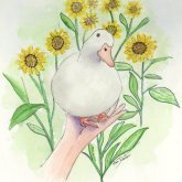 Alan Johnston .'s profile picture