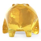 Forbiddengummyfrog's profile picture