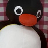 Cao's profile picture