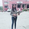 Pooja Goyal's profile picture