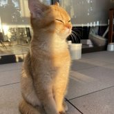 Photo de profil de Kris Del Carmen