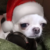 Mar's profile picture