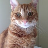 Photo de profil de Sunny Braun