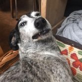 Anna BT's profile picture
