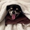 Ann M Buczkowski's profile picture