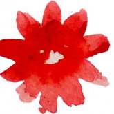Teacher Profile Image