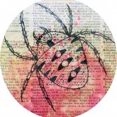 Profilbild von Virginia R.