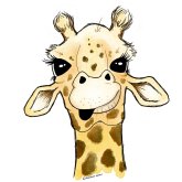Cat Whalen's profile picture