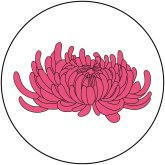 Margaret Clavell's profile picture