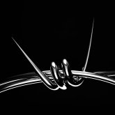 WAHOOVILLE LLC's profile picture