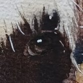 Bettina's profile picture