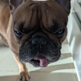 Profilbild von Skillshare Member Kurowski