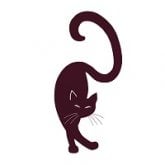 Teacher Profile Image
