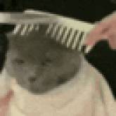 Marvin Seneque's profile picture