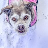 Profilbild von Skillshare Member Mullis
