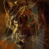Profilbild von Divine Jaguar