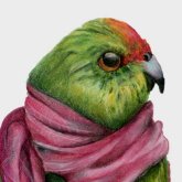 Profilbild von Simone Quentin de Manson