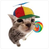 CraftySploink's profile picture