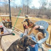 Skillshare Member's profile picture