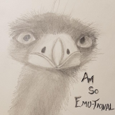 Sabine E.'s profile picture