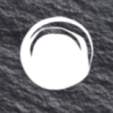 G. Casqueiro's profile picture