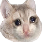Mizari Omi's profile picture