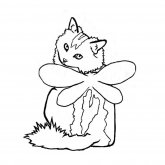 S Logan's profile picture