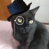 Luana Hellmann's profile picture