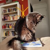 Foto de perfil de Marina Jenisch