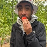 Chesed L's profile picture