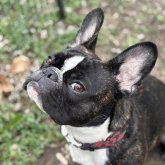 Foto de perfil de Amanda S