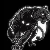 Photo de profil de Divine Panther Cinematics
